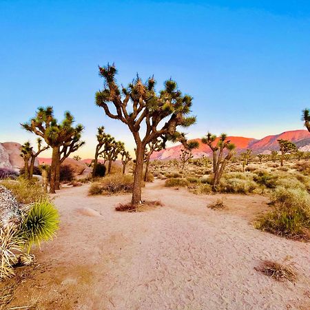 Вилла The Joshua Tree House Экстерьер фото