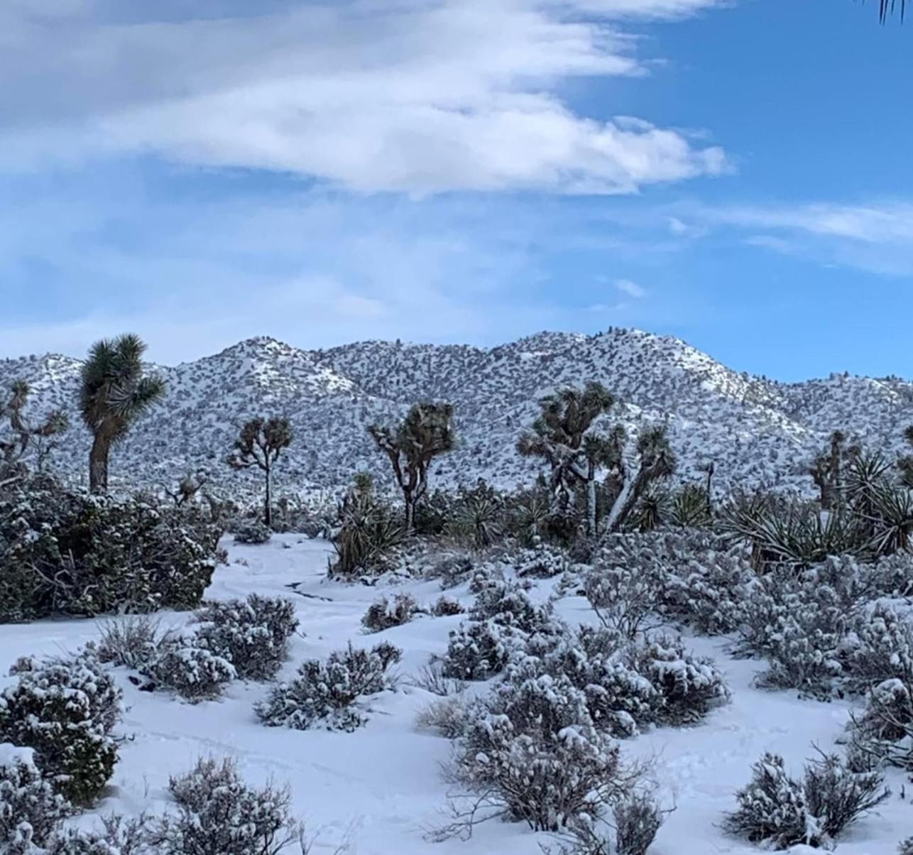 Вилла The Joshua Tree House Экстерьер фото