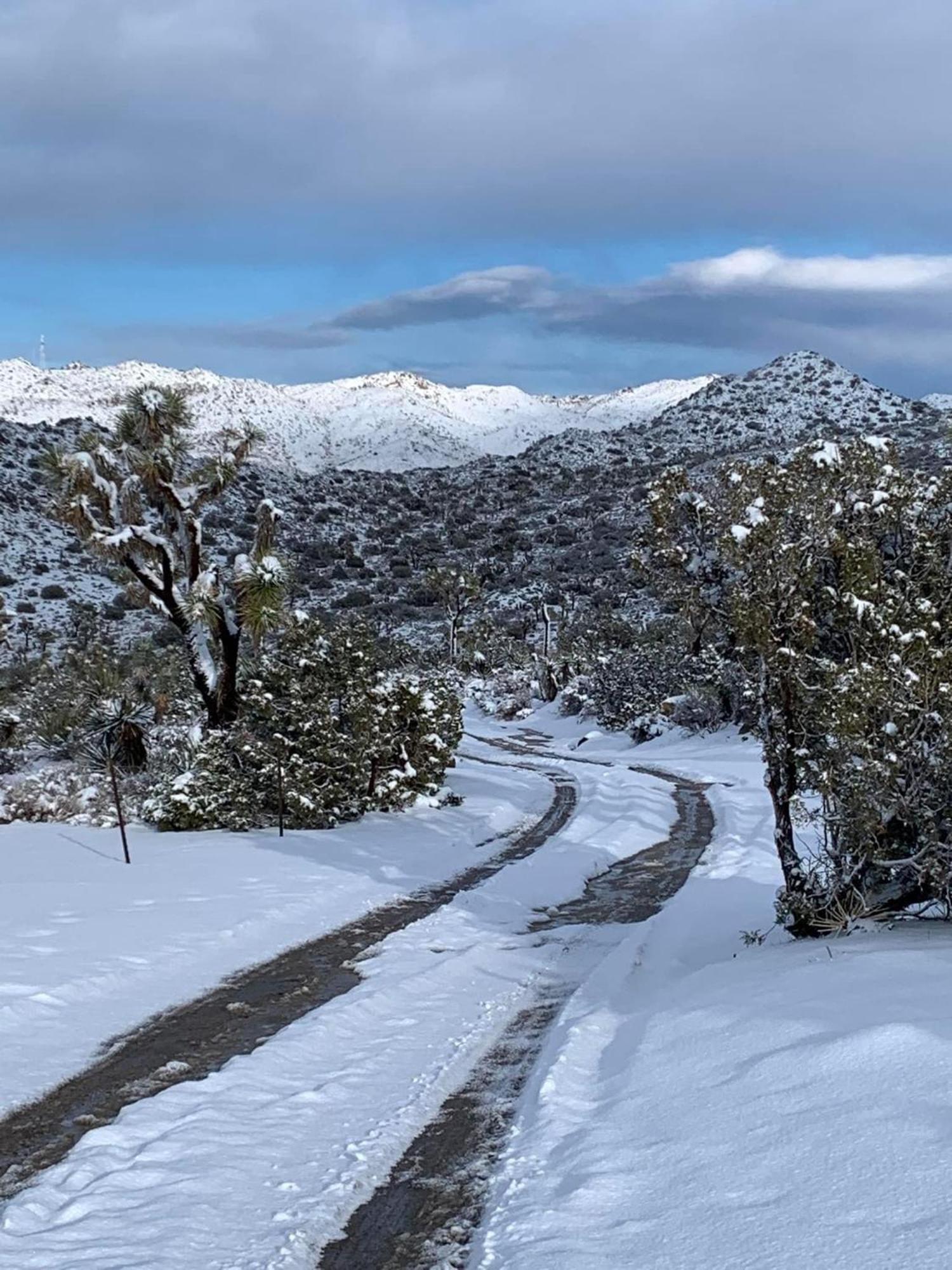 Вилла The Joshua Tree House Экстерьер фото