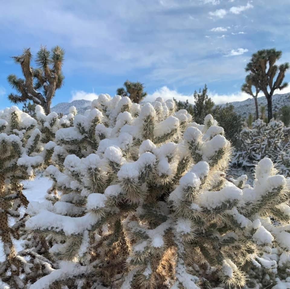 Вилла The Joshua Tree House Экстерьер фото